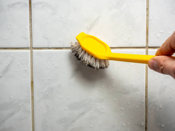 Best Local Mold Removal Service  in Archdale, NC