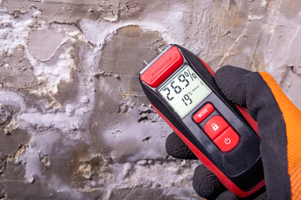 Best Office Mold Removal Services  in Archdale, NC
