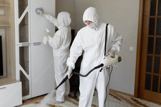 Mold Removal Process in Archdale, NC