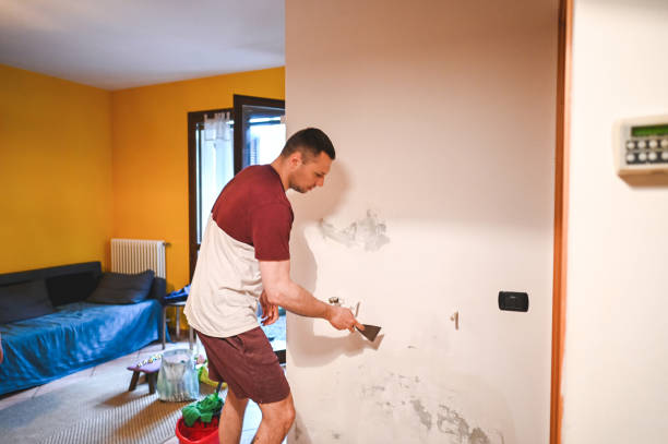 Best Professional Mold Removal  in Archdale, NC